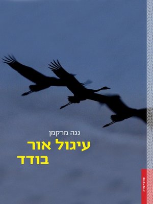 cover image of עיגול אור בודד